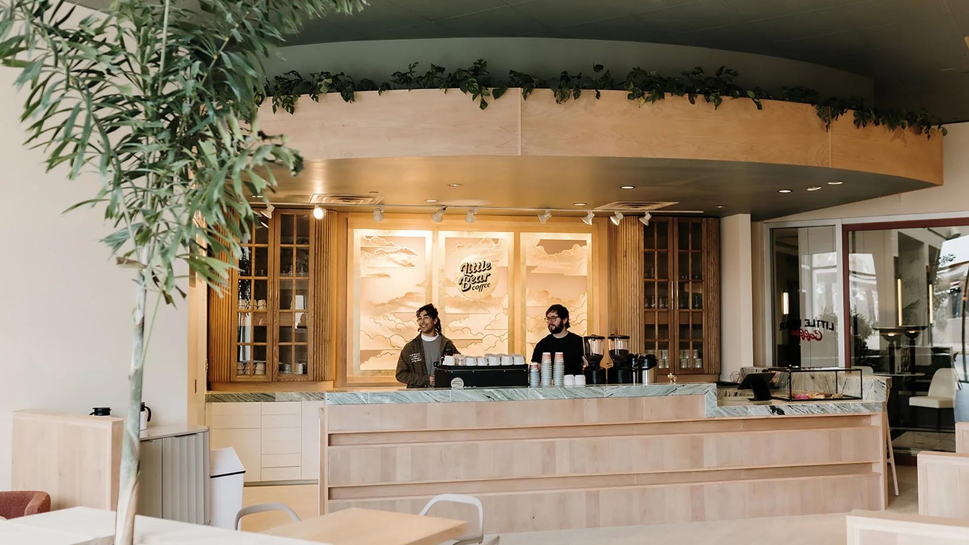 Best Coffee Shops in Albuquerque to Visit