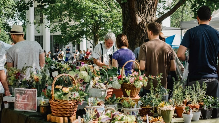 The Ultimate Guide to Albuquerque Farmers Markets